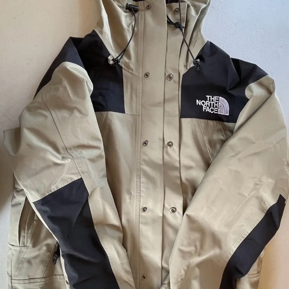 The North Face Men's Mountain Goretex Jacket